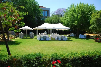 Imagen de Carpas de 6x3